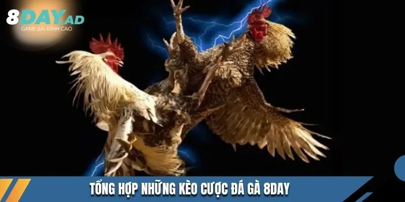 Tổng hợp những kèo cược đá gà 8DAY